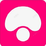 蘑菇视频高清在线播放平台