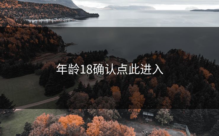 年龄18确认点此进入