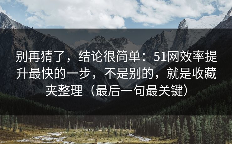 别再猜了，结论很简单：51网效率提升最快的一步，不是别的，就是收藏夹整理（最后一句最关键）