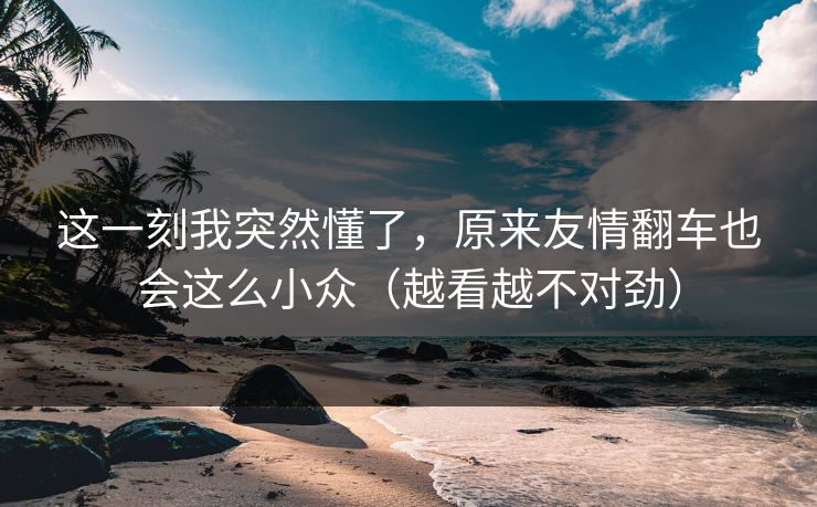 这一刻我突然懂了,原来友情翻车也会这么小众(越看越不对劲) 这一刻我突然懂了,原来友情翻车也会这么小众(越看越不对劲)