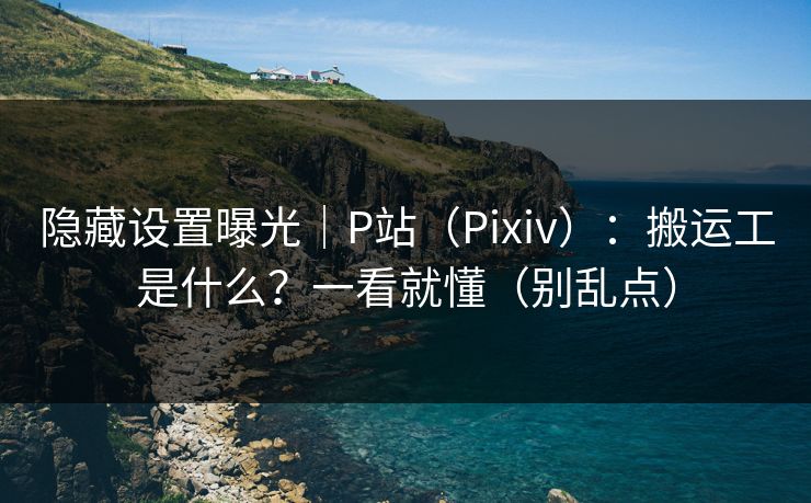 隐藏设置曝光|P站(Pixiv):搬运工是什么?一看就懂(别乱点) 隐藏设置曝光|P站(Pixiv):搬运工是什么?一看就懂(别乱点)